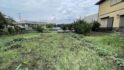 IMG_E6482●_R