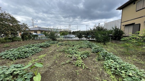 IMG_E6816●_R