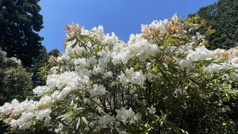IMG_E5778＋_R