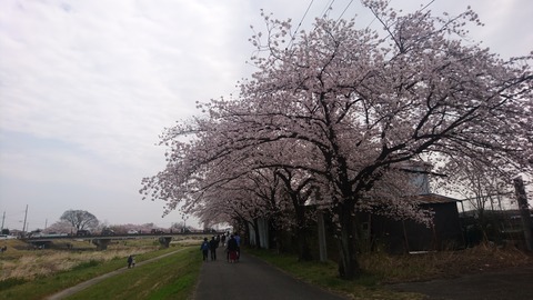 2019-04-07 10.41.04●