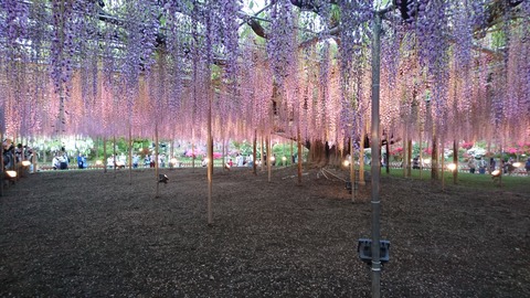 2019-05-04 18.19.46●