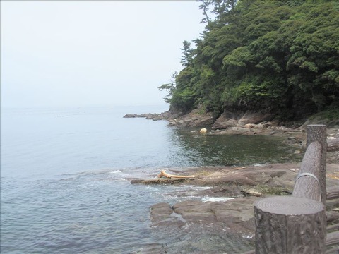 vcm_s_kf_repr_832x624