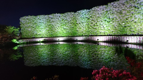 2019-05-04 20.16.49●