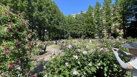 IMG_E5659●_R