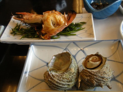 vcm_s_kf_repr_832x624