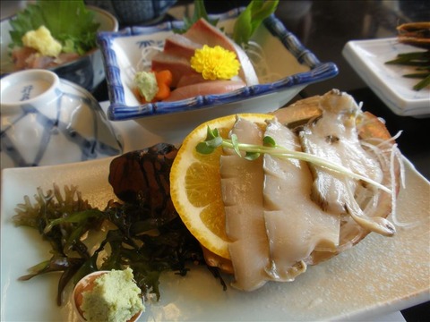 vcm_s_kf_repr_832x624