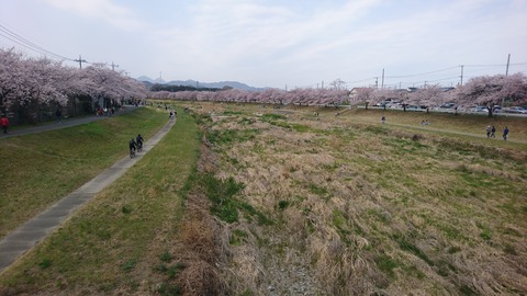 2019-04-07 10.47.30●