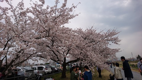 2019-04-07 11.54.03●