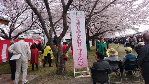 2019-04-07 10.54.03●