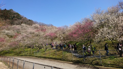 2019-03-09 13.31.56●