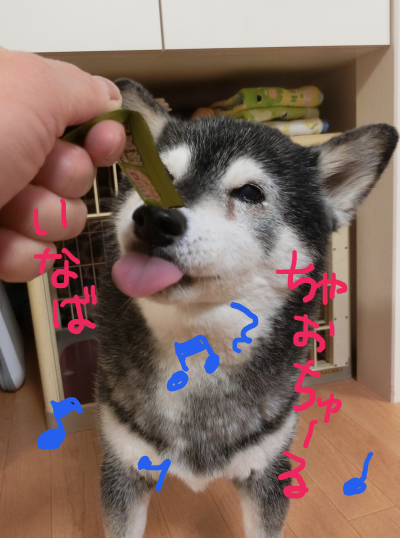 風と鈴のわらわら日記 チャオちゅーりん 風と鈴のわらわら日記 チャオちゅーりん