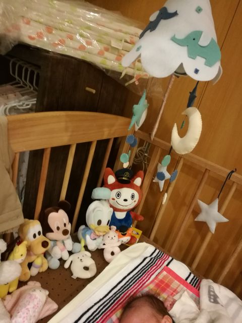 子育て日記 By しのっち 手作りのベッドメリーとぬいぐるみがかわいい