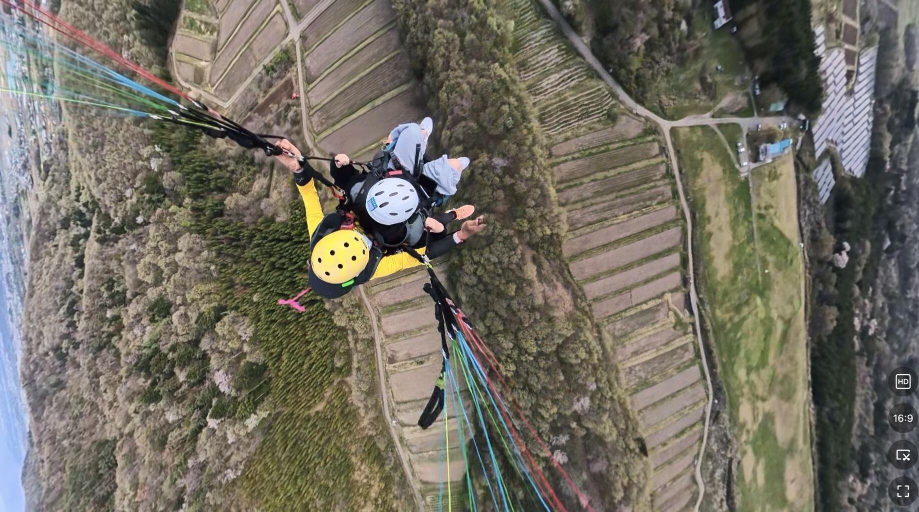 �����꡼�󥷥�å� 2026-04-18 20.31.47