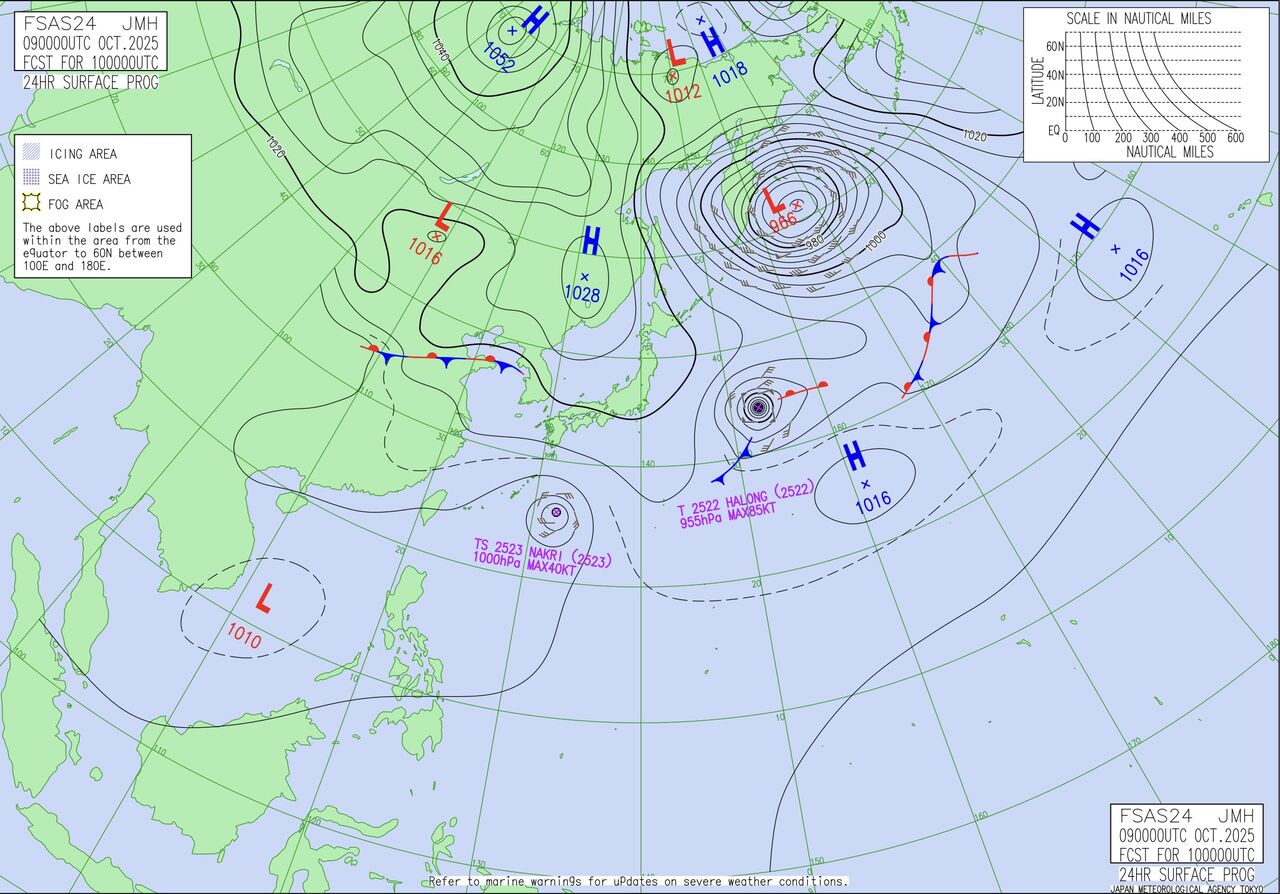 ꡼󥷥å 2025-10-09 17.16.29