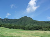 1bd4d878.jpg