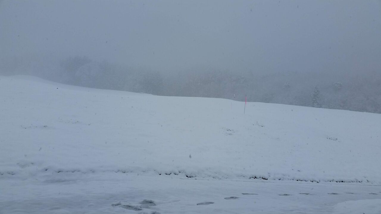 ��������ǯ�����������������⛄�㡢�ߤ�ޤ���🙋