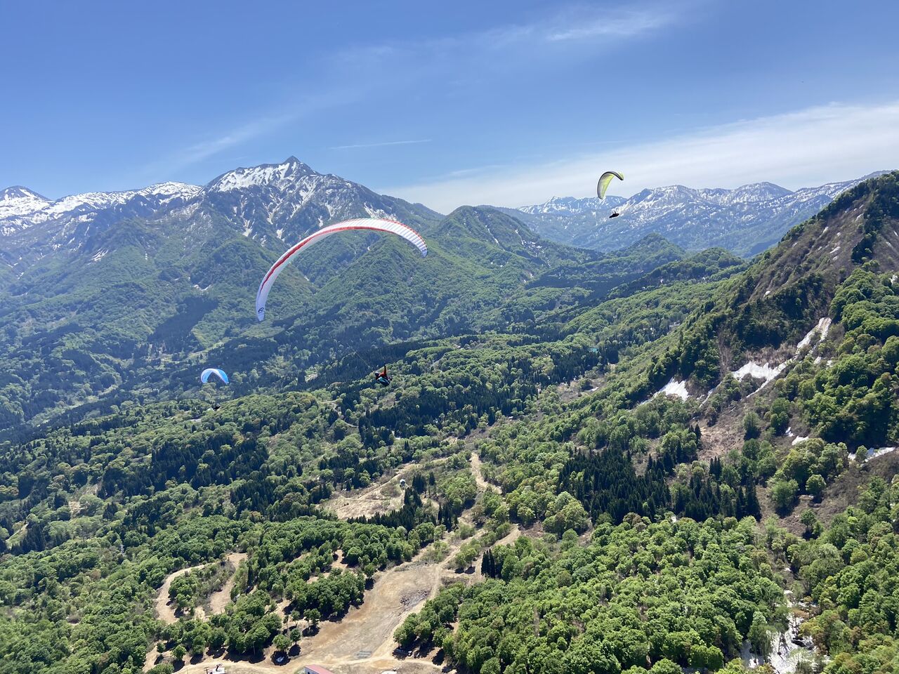 ���ܤΥ�����⁉��������ʤ˲񤤤˹Ԥ�����5��ĥ����Τ��Τ餻