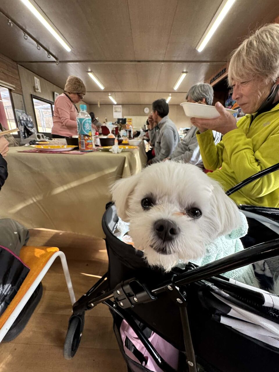 att.OSuW_trcyETQahRlDuJDF_8QNxVXOemxuEIgLtp9Q2w