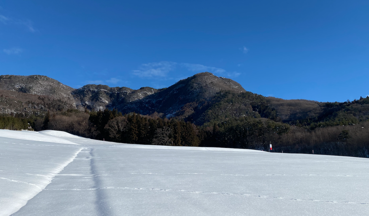 �����꡼�󥷥�å� 2020-12-22 13.50.22