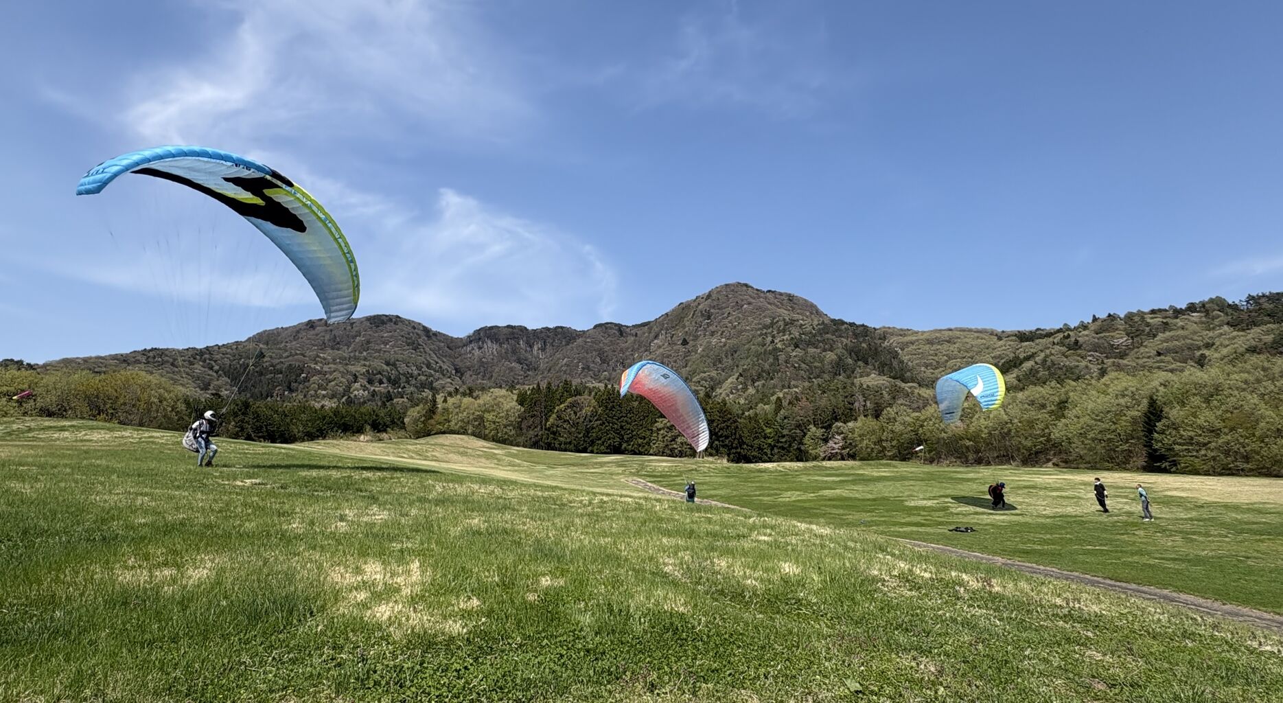 �����꡼�󥷥�å� 2025-04-27 17.04.22