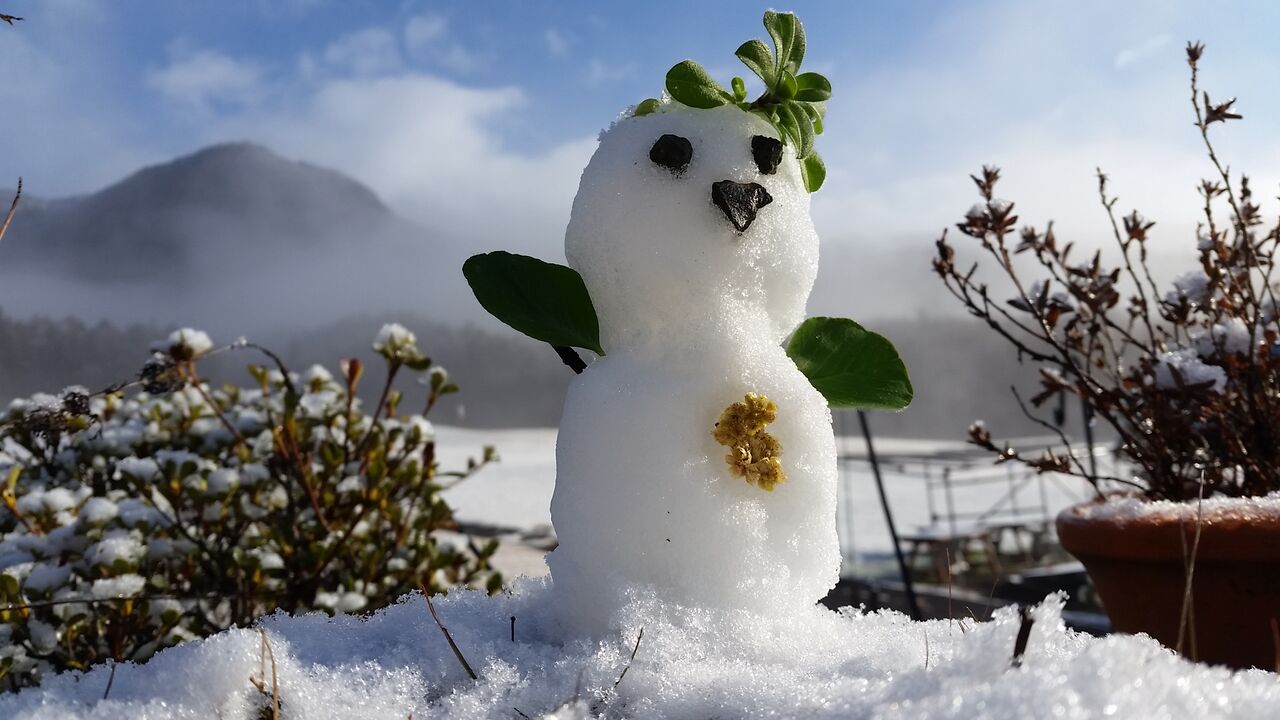 2019ǯ12��23��(��)����⛄�դ�ޤ�����✨