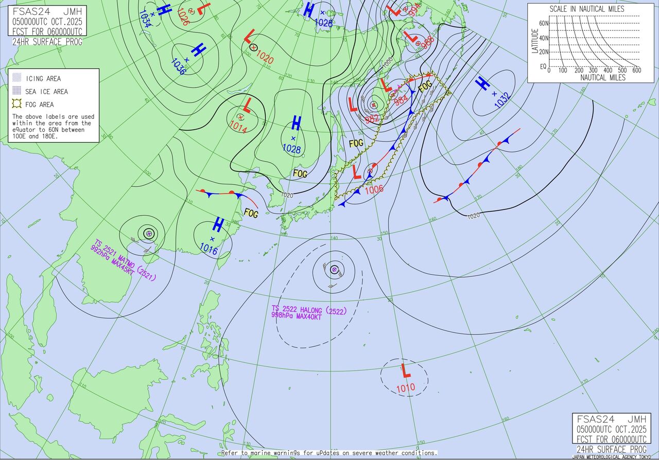 ꡼󥷥å 2025-10-05 17.31.52