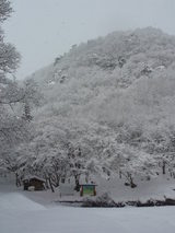 �ѥ饰�饤�������2��27��(��)�����ߥե饤������Ω