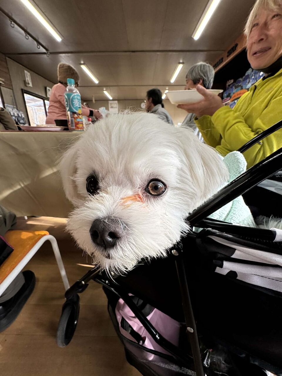 att.TrVc4-NEFmRRBcCTFfcDk7EkvJSIZ1WuewnLmfKeUh4