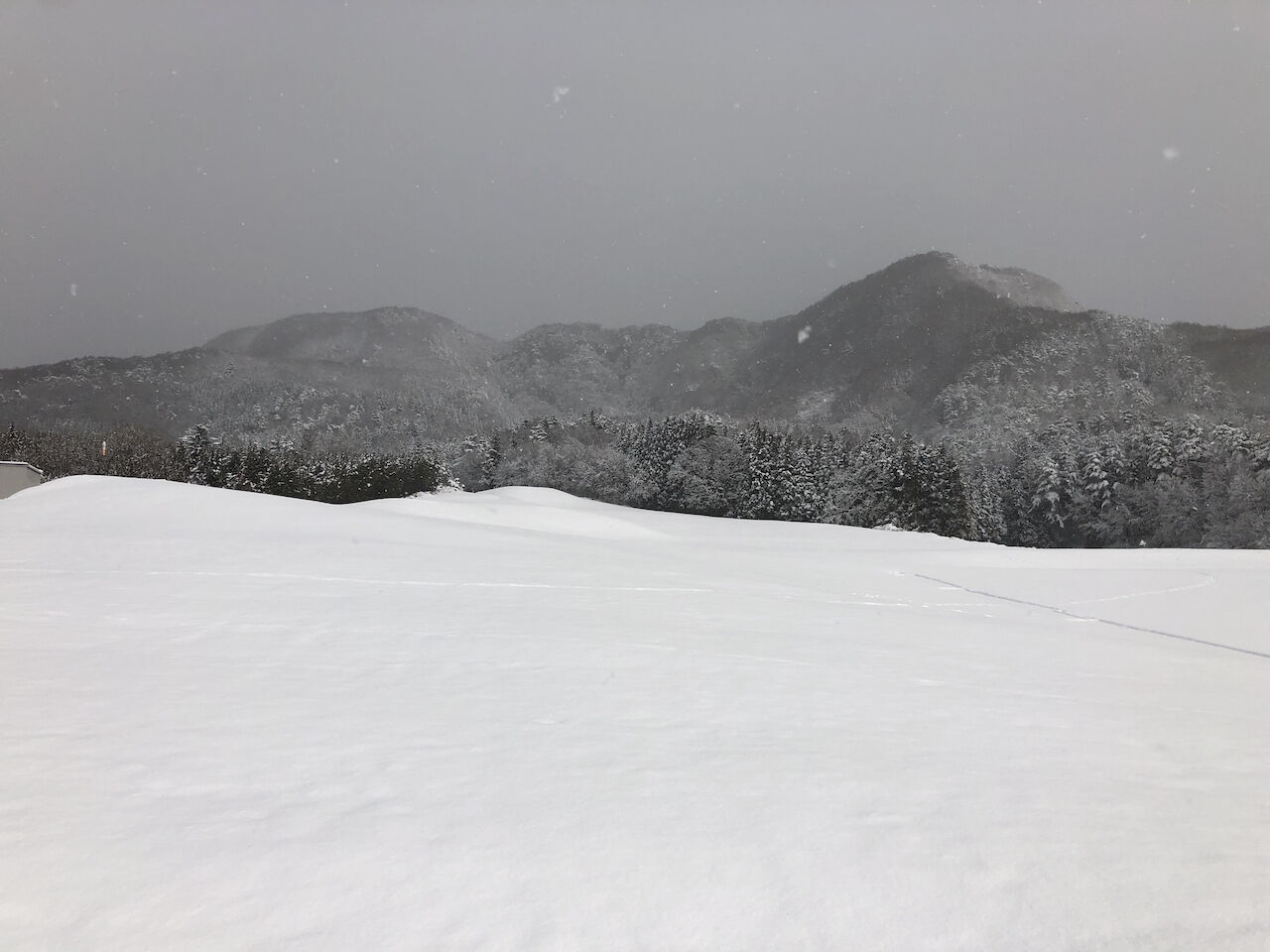 �Ѥ��ޤ�����