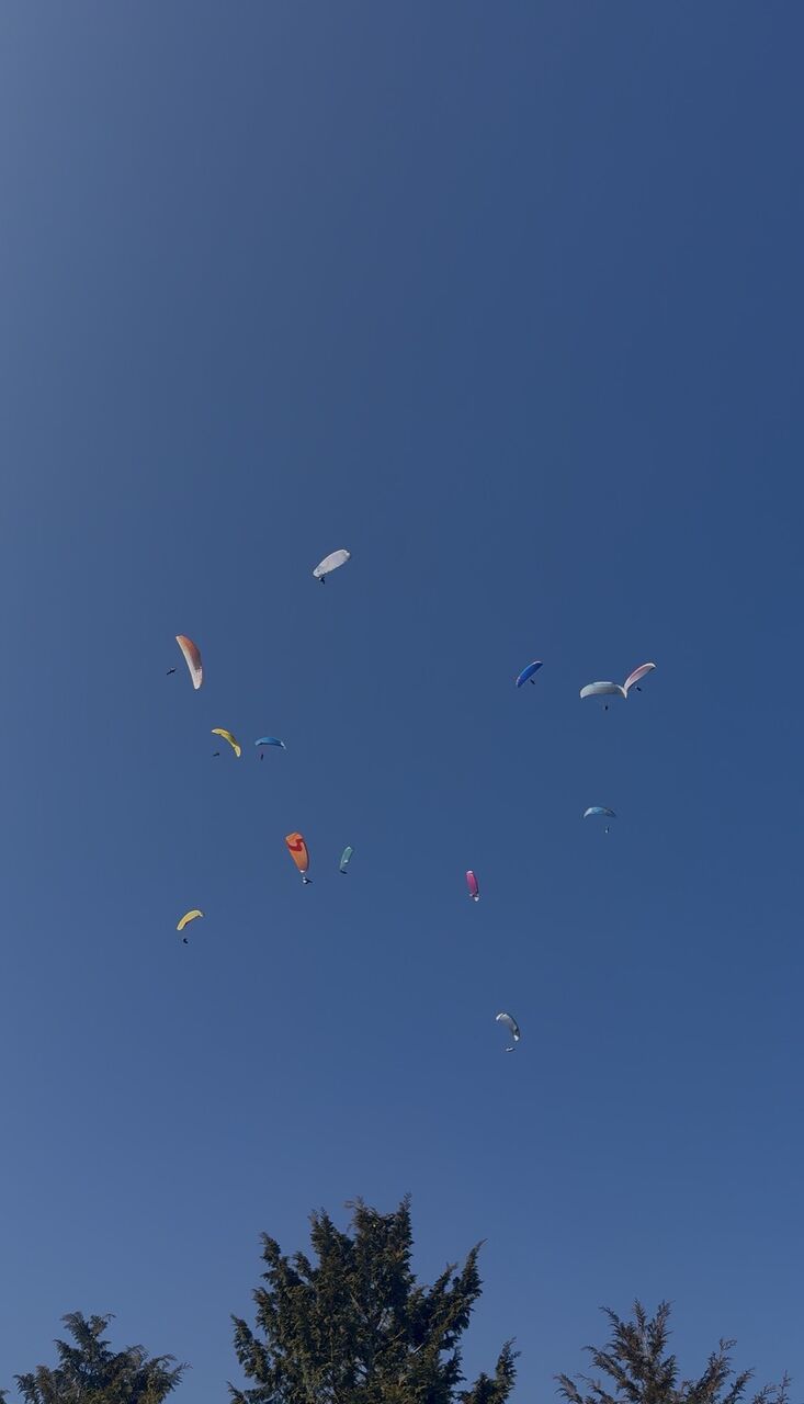 ��ī̸��ư����������2�ƤΤ��Τ餻��