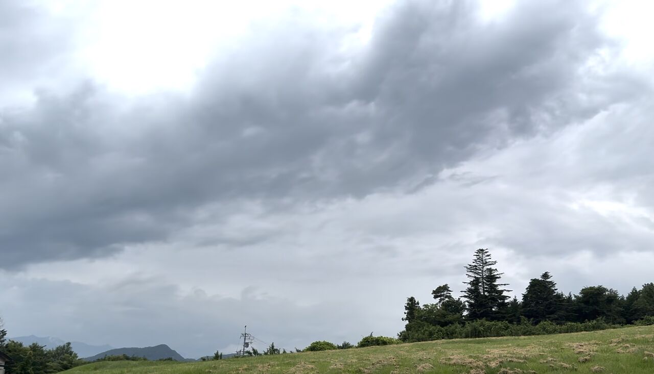 �����꡼�󥷥�å� 2025-06-23 15.04.45