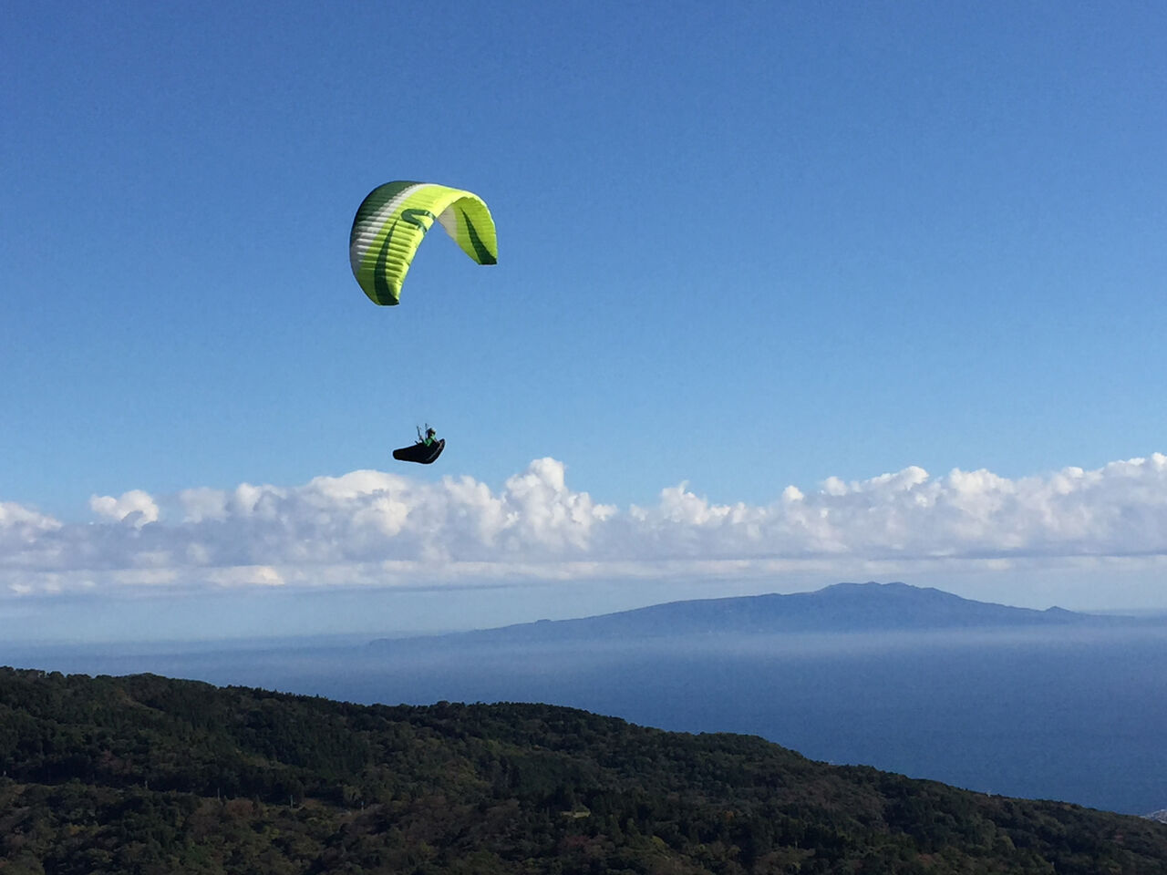 ��2020ǯ👹2��Υĥ����Τ��Τ餻��