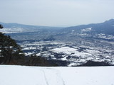 �ѥ饰�饤�������3��2��(��)�����ߥե饤������Ω