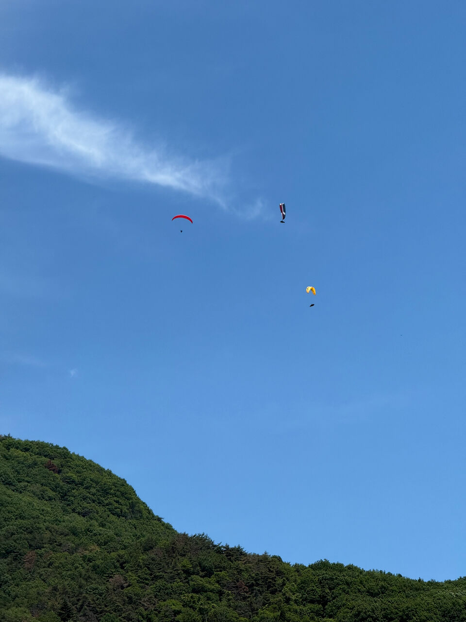 5��31�����������˺����ζ������������Υ����ܥ�
