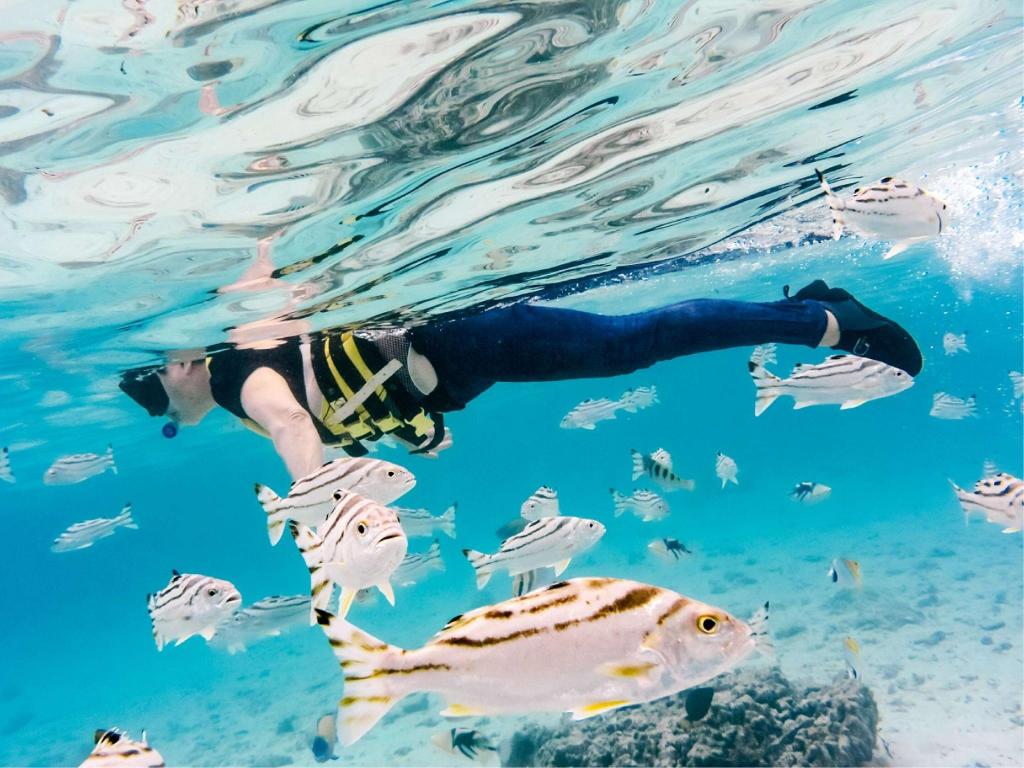 28f585661b6b867e00a95beb870ce1ad