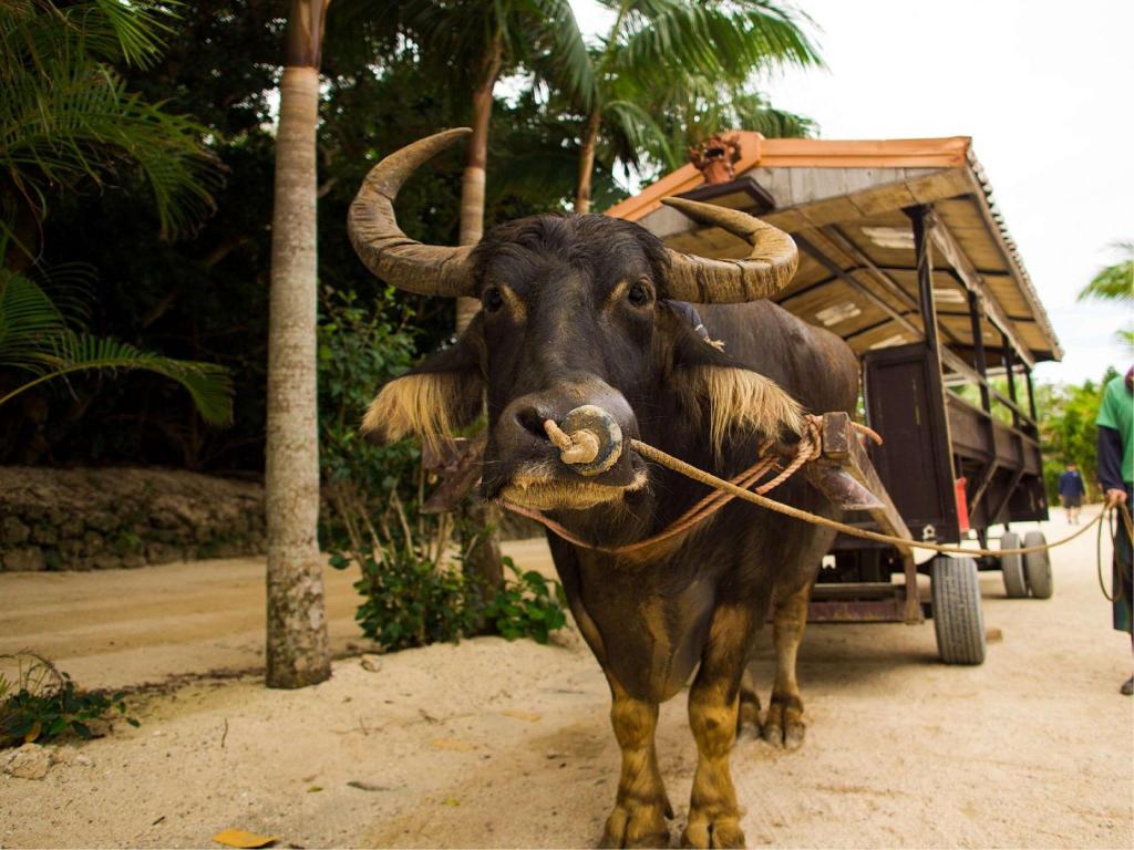 2776a727ba572599295aca3cb21e854f