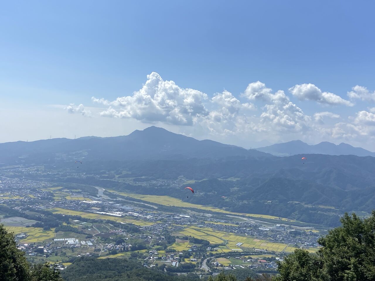 ���Υ���С�������������ǯ�ϲ��˥����󥸤��ޤ�����������Ⱦ��ϡ�20��(��)��������Ǥ�(^^��