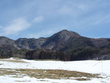 �ѥ饰�饤�������2��5��(��)�����ߥե饤������Ω