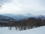 �ѥ饰�饤�������4��2��(��)�����ߥե饤������Ω