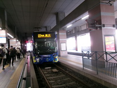 ��˭�ŵ�Ŵƻ