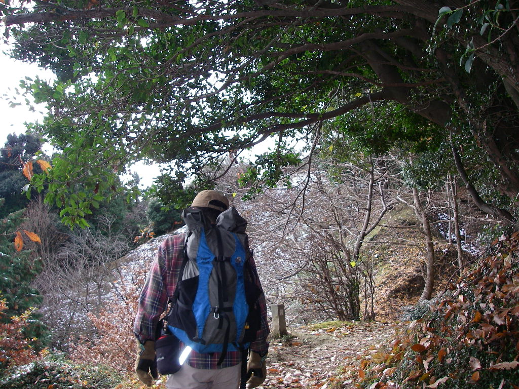 登山 油山 福岡市城南区 福岡発 タクシードライバーの登山日誌