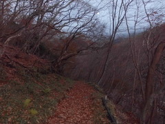 紅葉は終わり