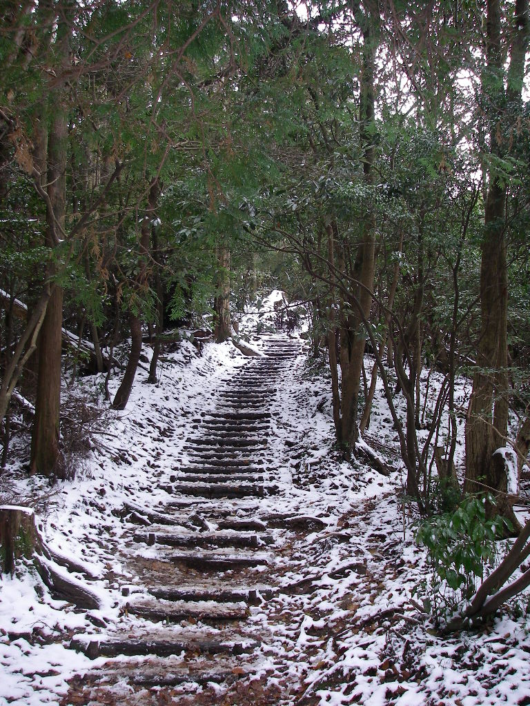 登山 油山 福岡市城南区 福岡発 タクシードライバーの登山日誌