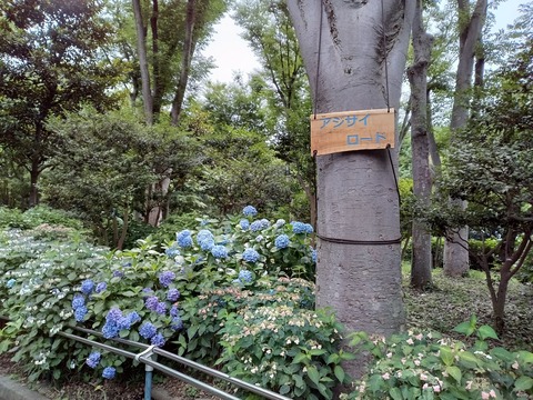 Kimg20240620_121306596