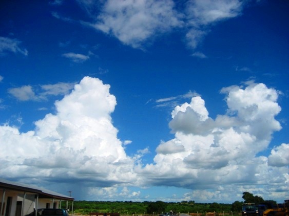 17815643.jpg
