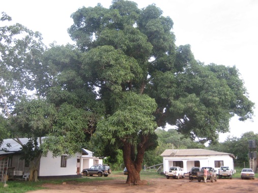 646eac99.jpg