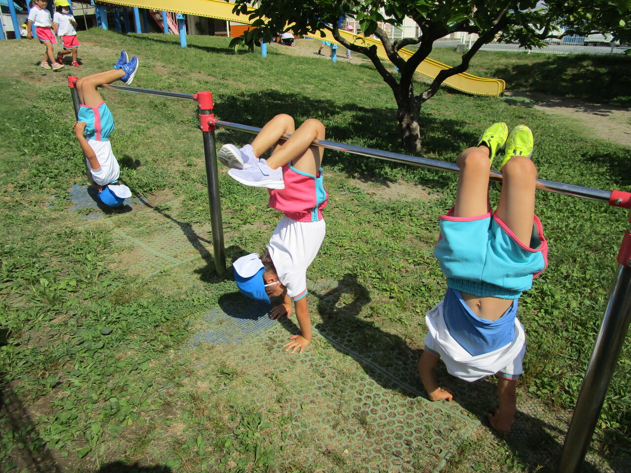 こうもり探しへ ぞう 子育てセンターしんぱらのブログ こうもり探しへ ぞう 子育てセンターしんぱらのブログ