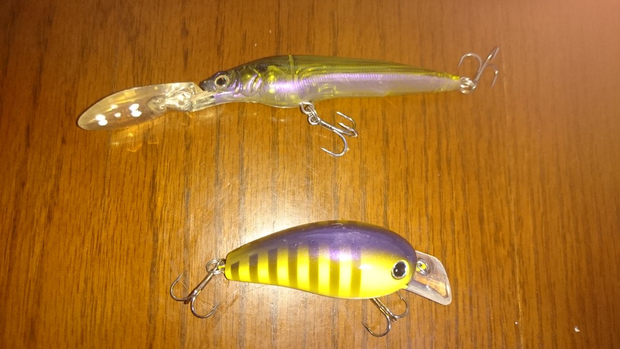 スキッピングのおすすめのルアーの続き Sin Sinのバス釣りブログ