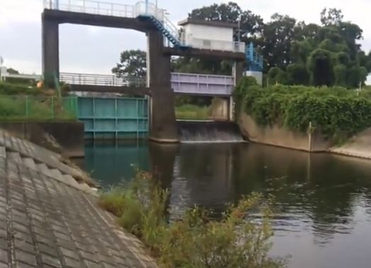 多々良沼が宇宙よりも遠い場所の聖地になりました Sin Sinのバス釣りブログ