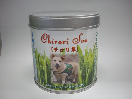 チロリ草 001本体